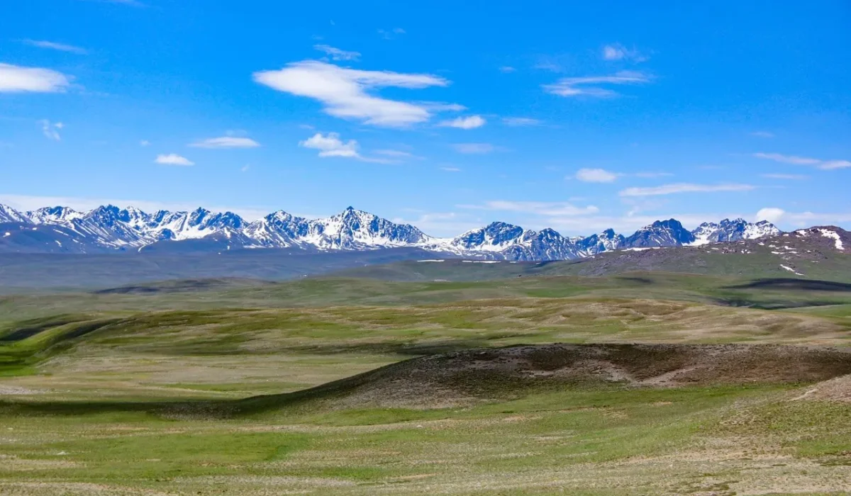 Deosai Large